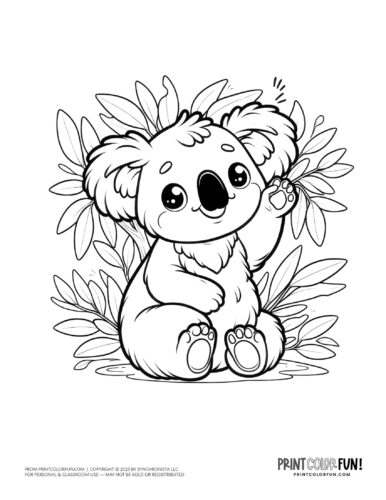 Free cute koala coloring pages clipart printables at