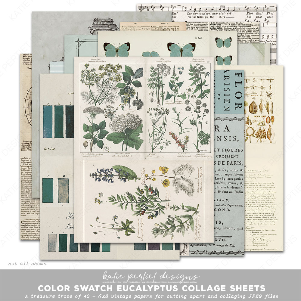 Color swatch eucalyptus collage sheets