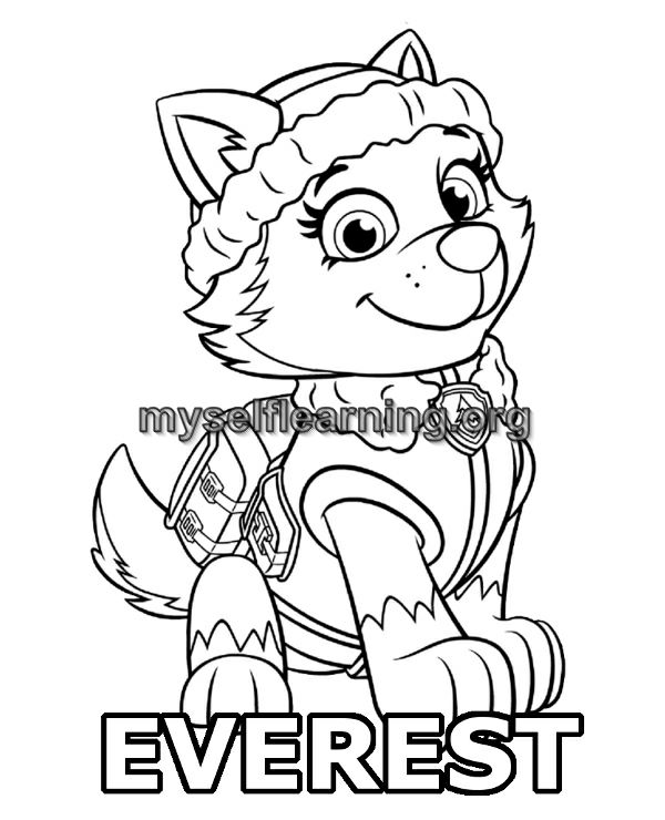 Paw patrol cartoons coloring sheet instant download