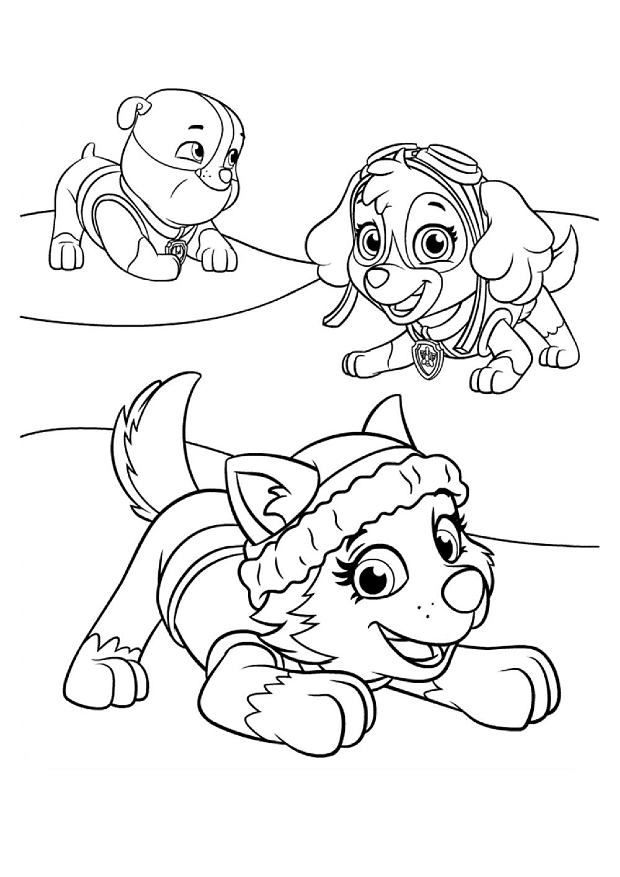 Rubble skye and everest from paw patrol playing together coloring page