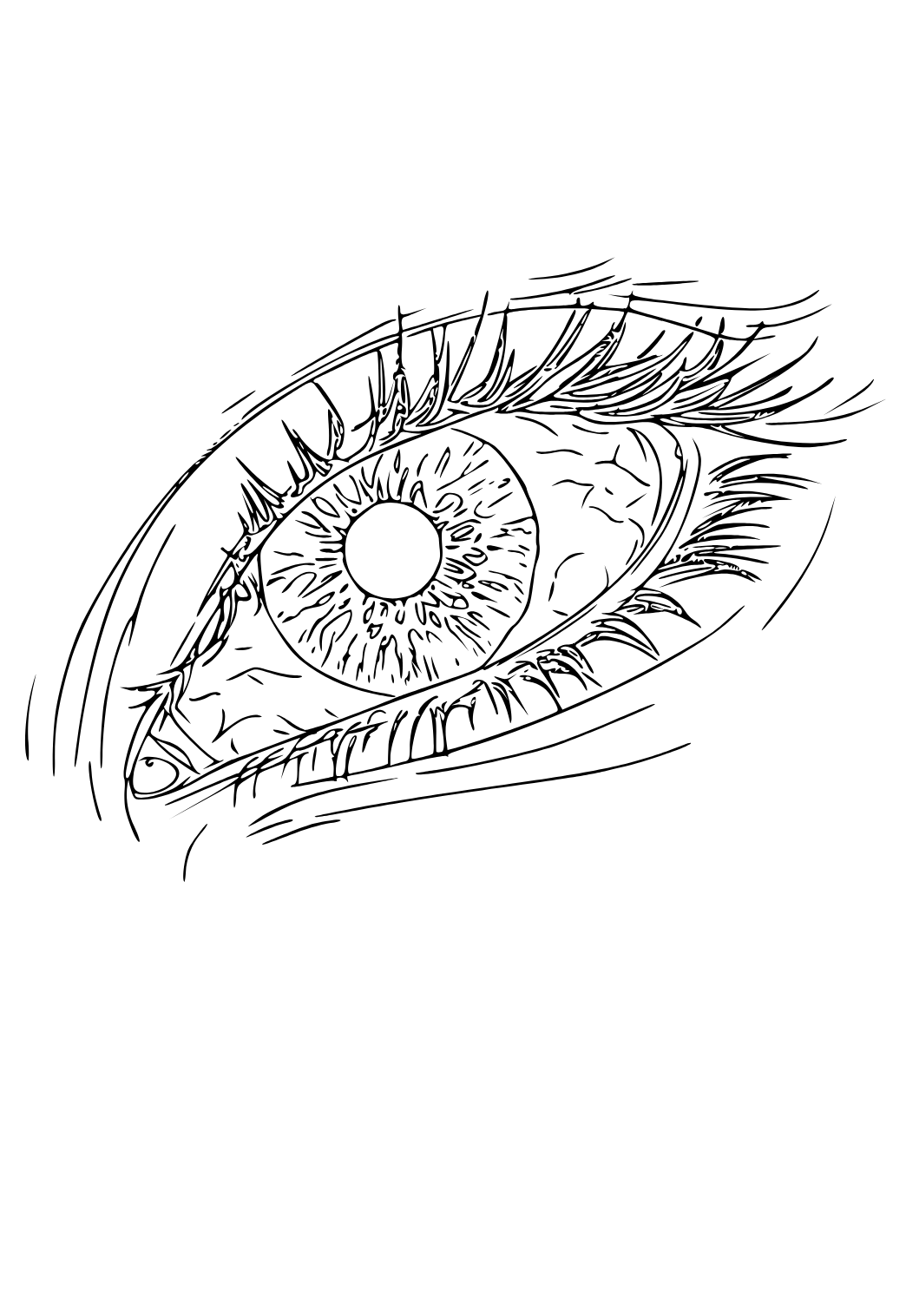 Free printable eye real coloring page for adults and kids