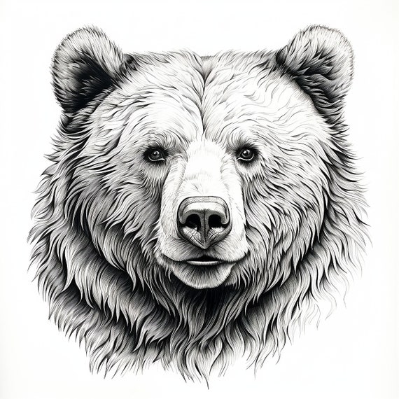 Grizzly bear fine line pencil drawing printable mercial wildlife animal image for coloring page sticker stencil logo tattoo diy