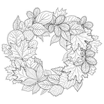 Fall coloring pages images â browse photos vectors and video