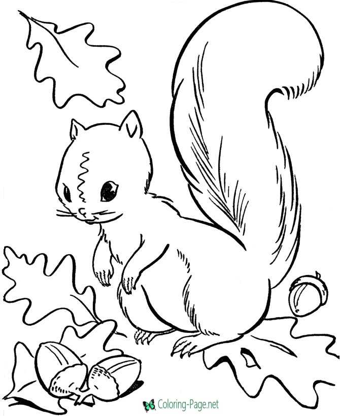 Autumn coloring pages