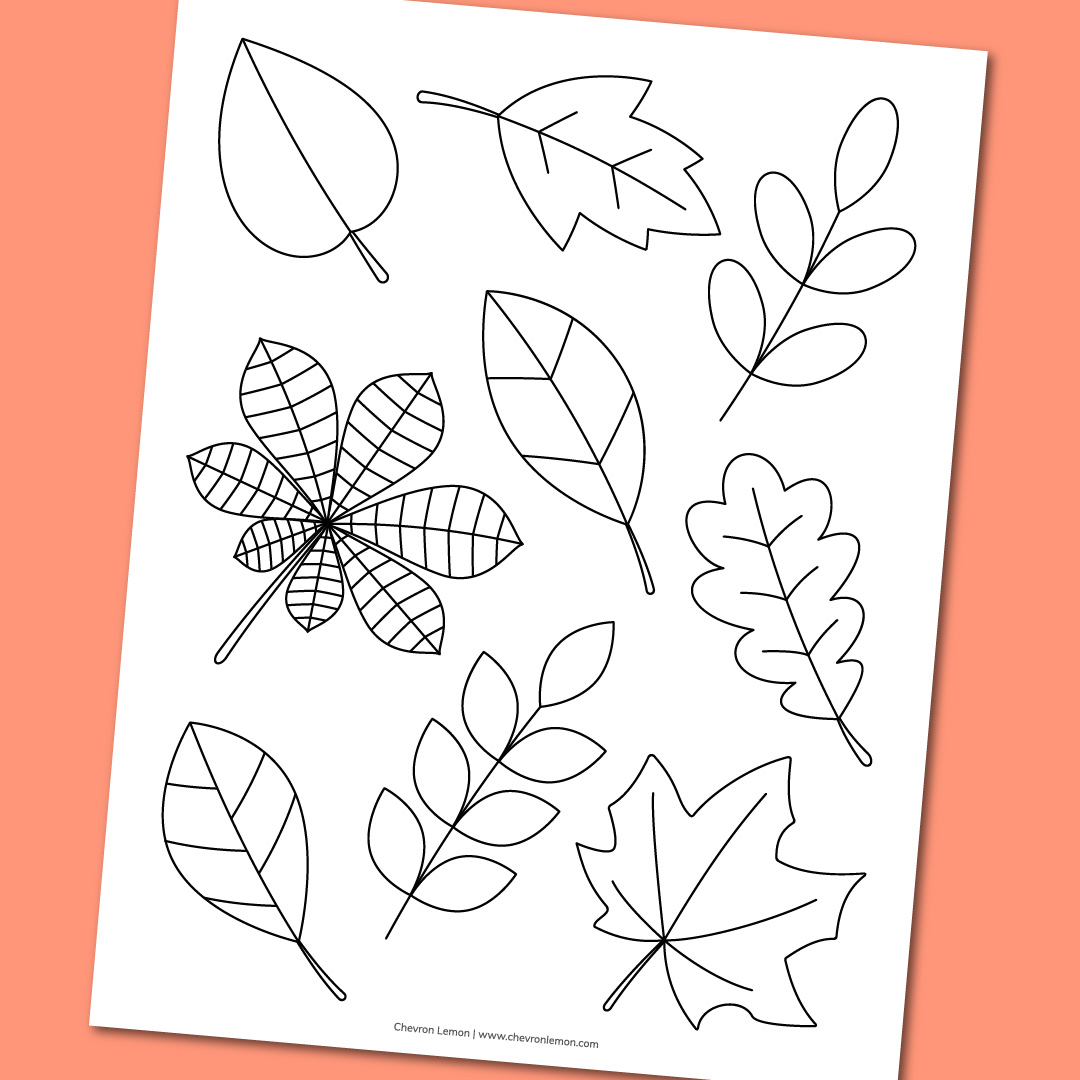 Printable fall leaves coloring page fun family crafts