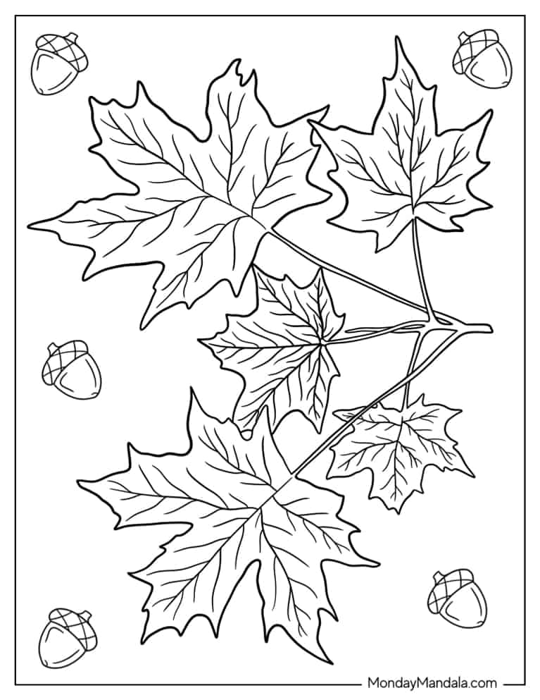 Fall leaves coloring pages free pdf printables