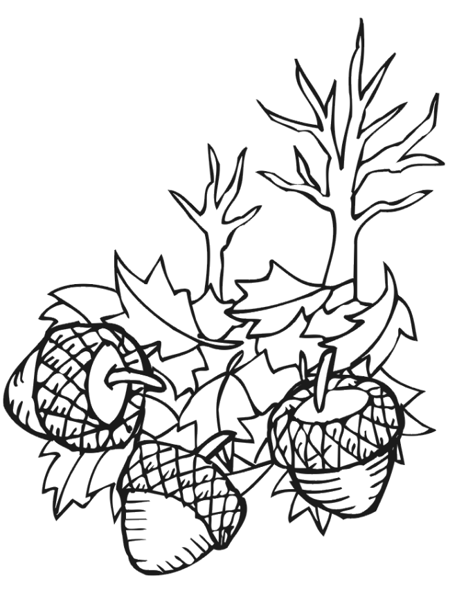 Autumn leaves coloring page acorns fall leaves