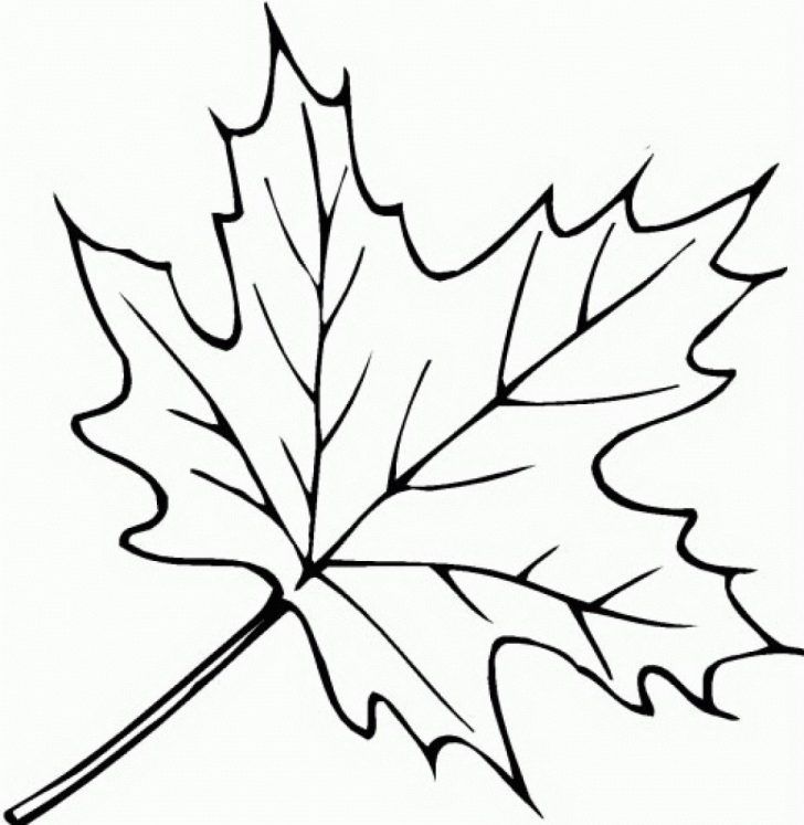 Fall leaves coloring pages free fall leaves coloring pages collection of download them and try