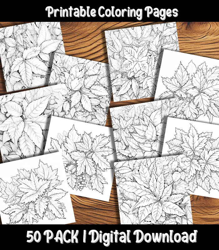 Fall leaves coloring pages digital pack