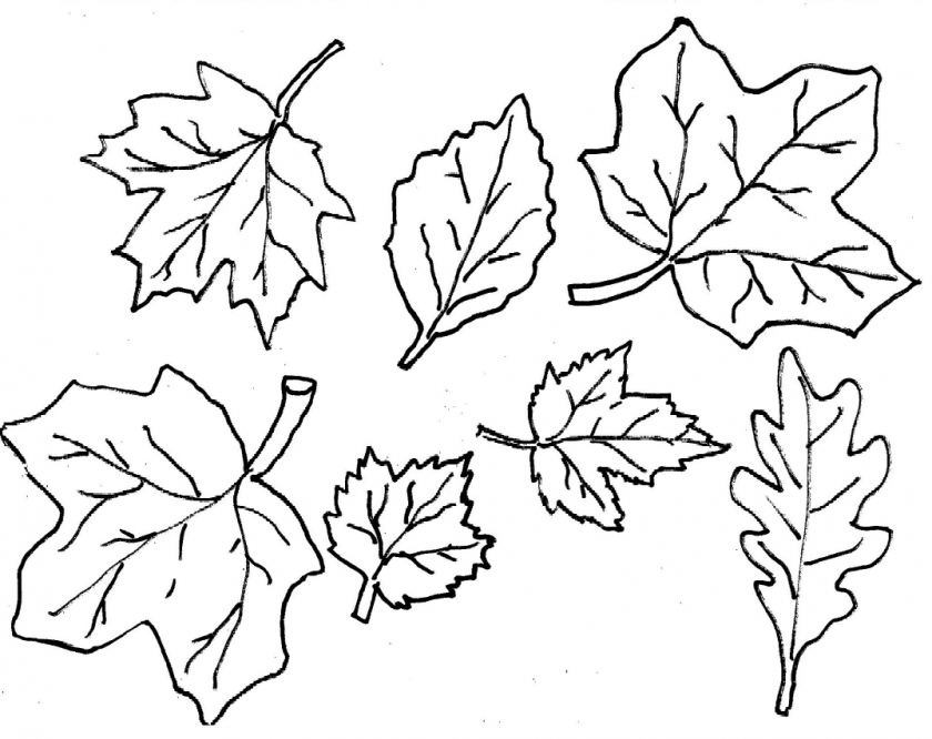 Free printable fall leaves coloring pages