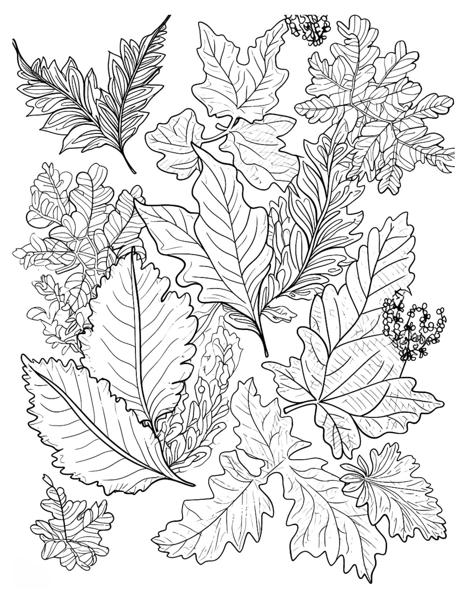 Fall coloring pages for both kids and adults