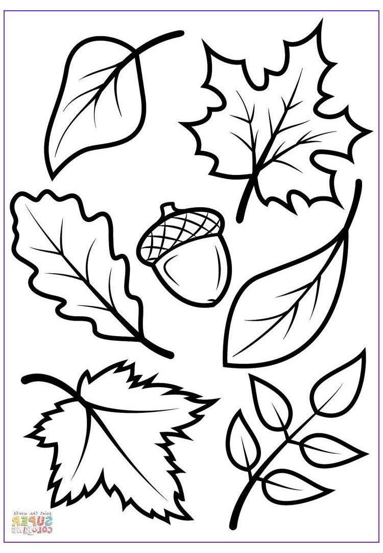 Elegant fall coloring sheets printable photos printable fall leaves leaf template â leaf coloring page fall coloring pages fall leaves coloring pages