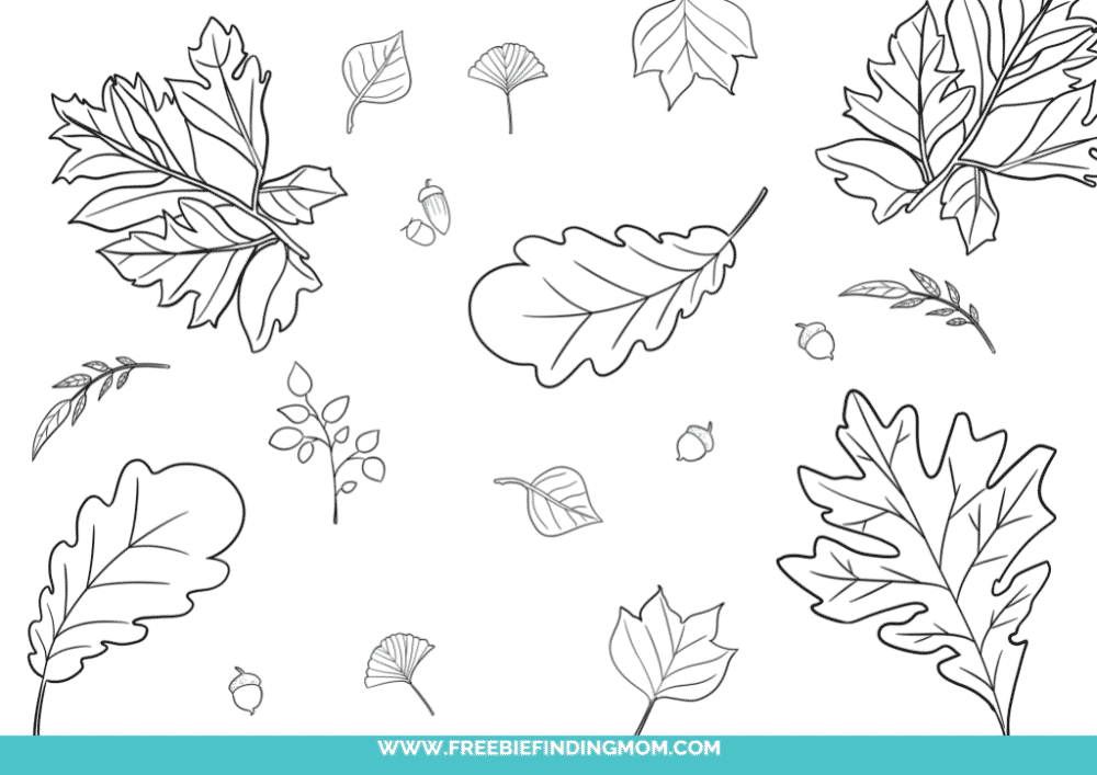 Free printable fall leaves coloring pages