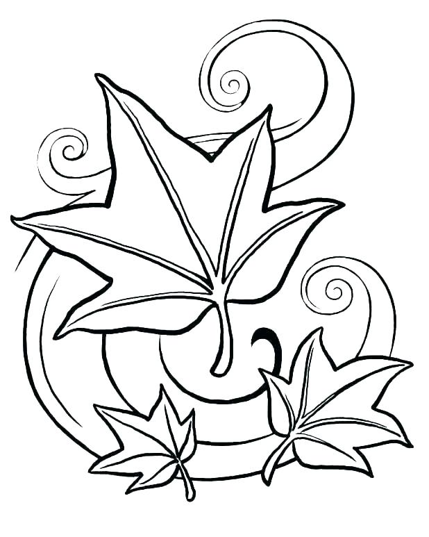 Fall leaves coloring pages