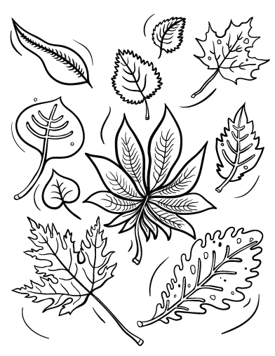 Free fall leaves coloring page