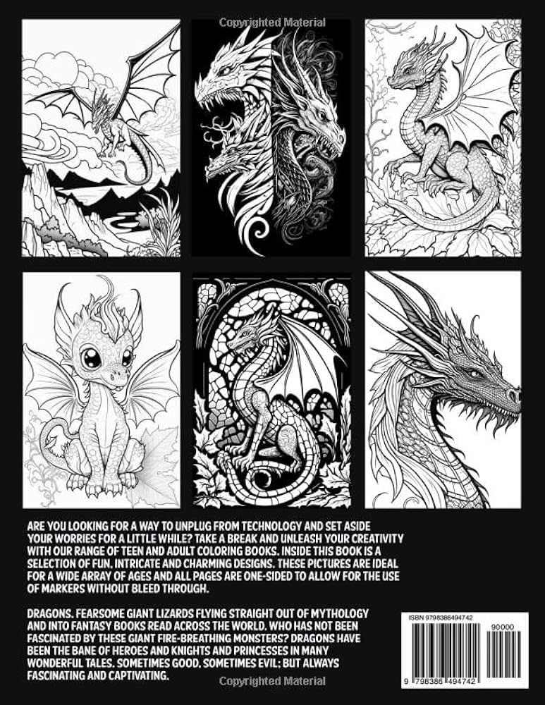 Fantasy dragons adult coloring book fun and unique drawings of dragons for adults and teens to color fun relaxing and stress