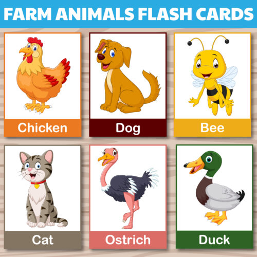 Farm animals cards montessori flashcards cute farm animals flashcards farm animals vocabulary made by teachers