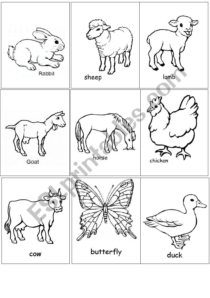 Farm animals flashcards