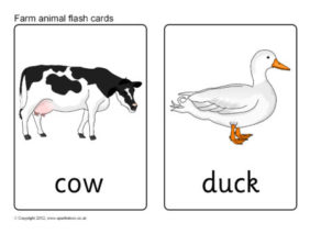 Animal flash cards printables for primary school