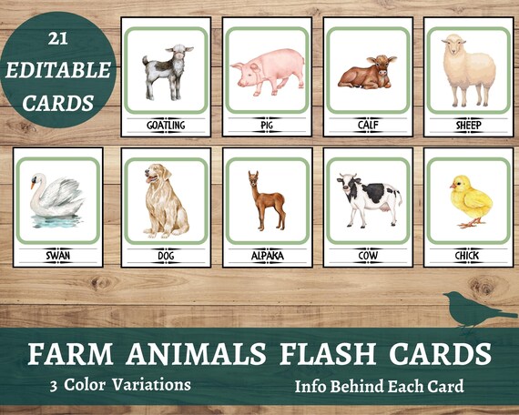 Farm animals flash cards pet flash cards editable printable cards farm animals busy book prescool toddler nomenclature flash cards