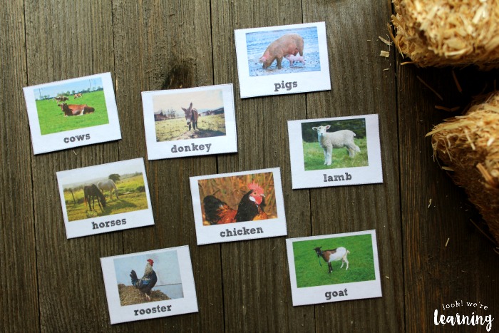 Printable farm animal flashcards