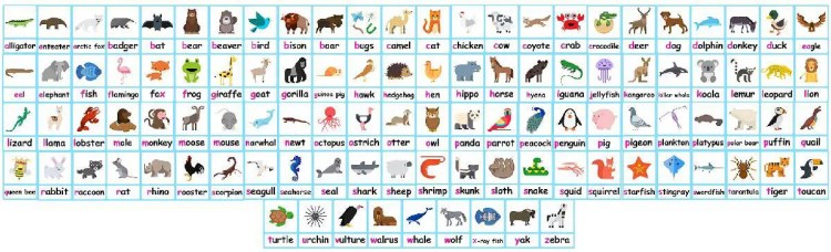 Animal flashcards free animals phonics poster