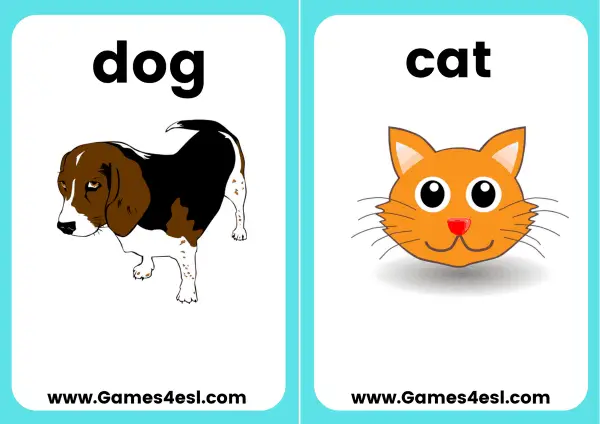 Animal flashcards