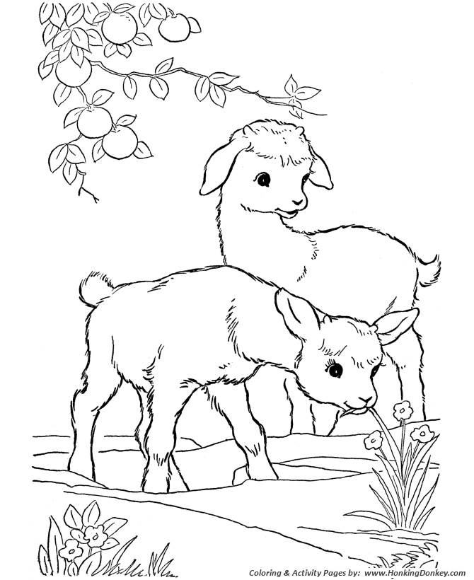 Farm animal coloring pages printable kid goats coloring page and kids activity sheet