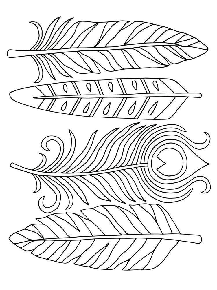Feather coloring page feather template coloring pages to print easy coloring pages