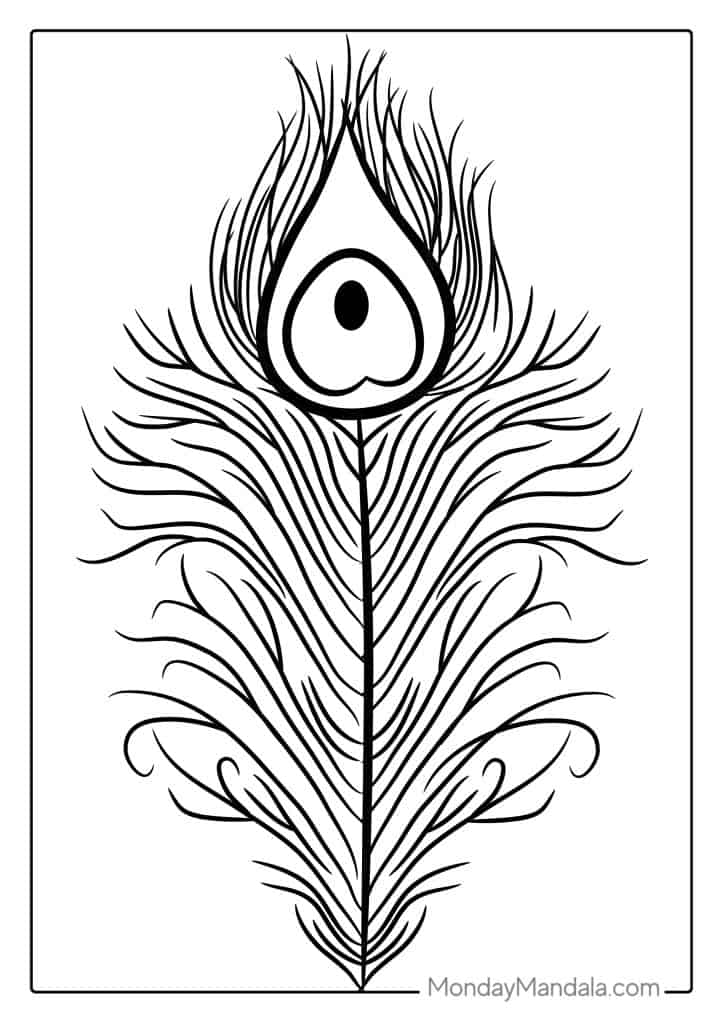 Peacock coloring pages free pdf printables