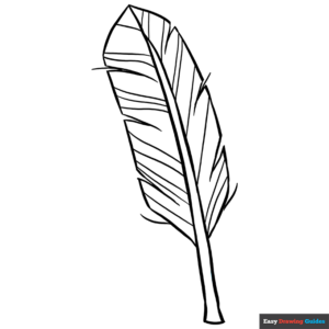 Feather coloring page easy drawing guides