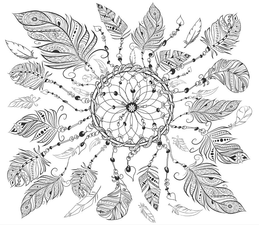 Dreamcatcher with various feathers for coloring page hand drawn vintage illustration for adult anti