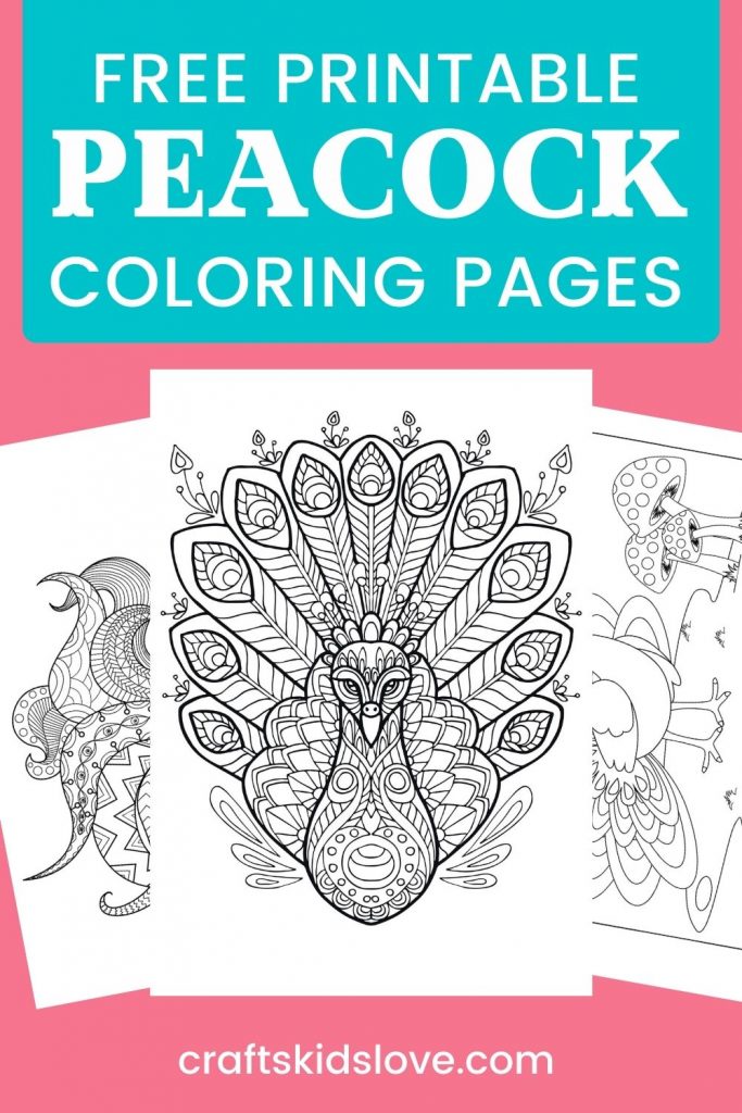 Free printable peacock coloring pages
