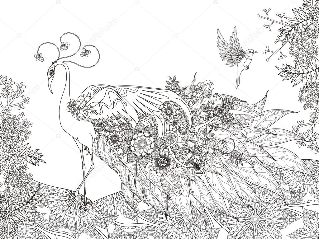 Floral feather peacock coloring page stock vector by kchungtw