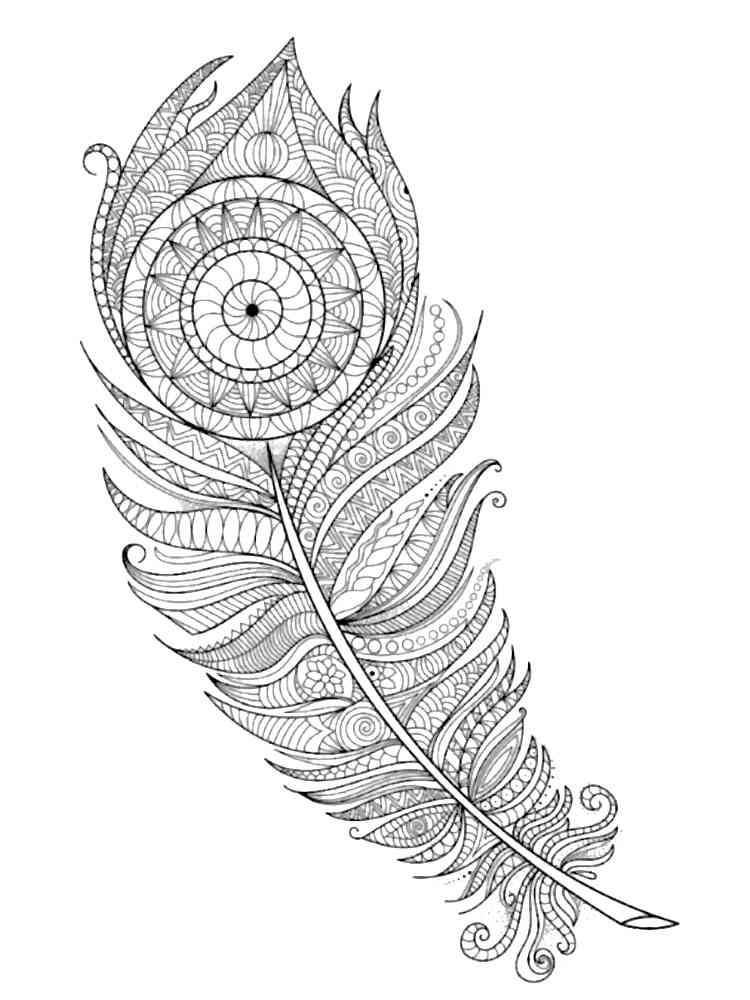 Feather coloring pages for adults