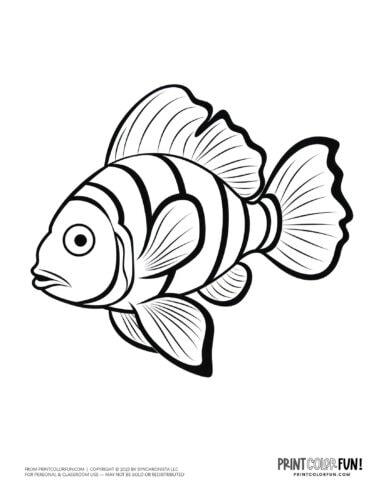 Free fish coloring pages color clipart swim through a sea of creativity activities at