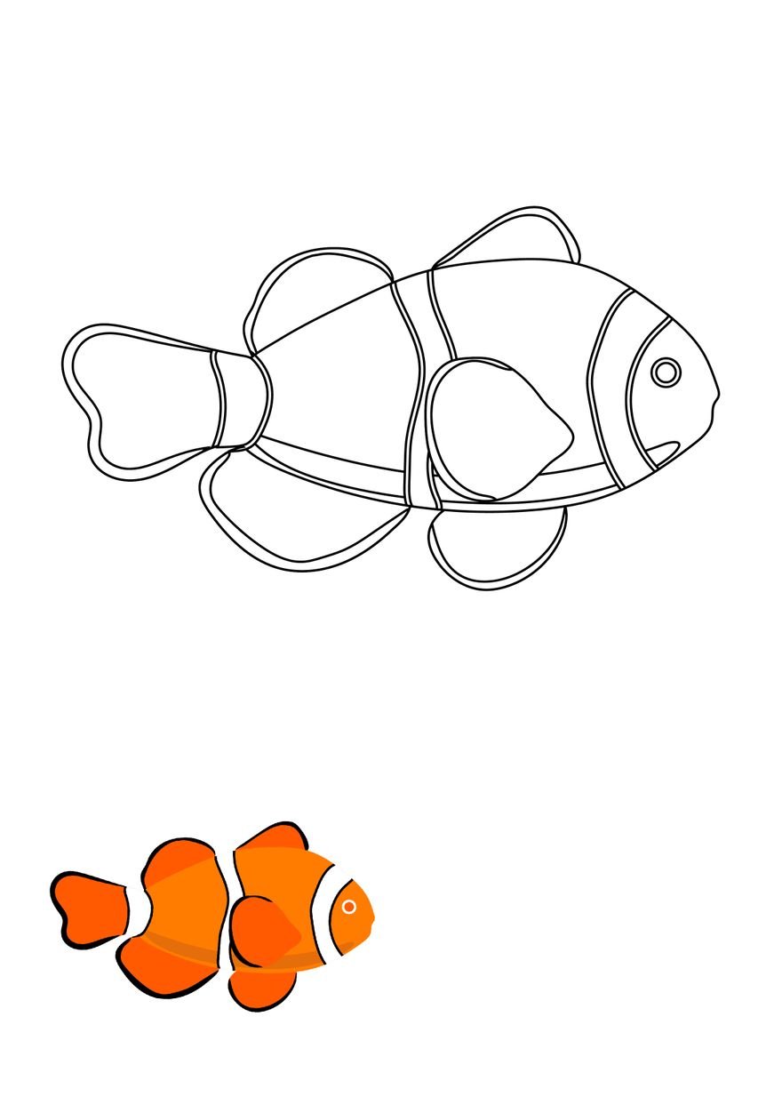 Free realistic fish coloring pages