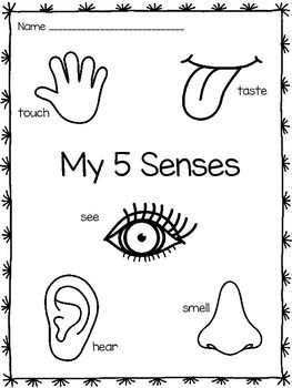 Five senses coloring pages senses preschool five senses worksheet five senses preschool