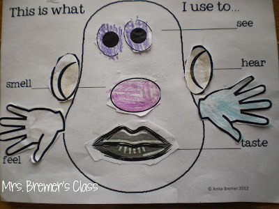 Five senses activities for kindergarten featuring mr potato head mrs bremers class