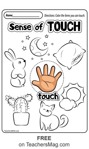 Free five senses worksheets