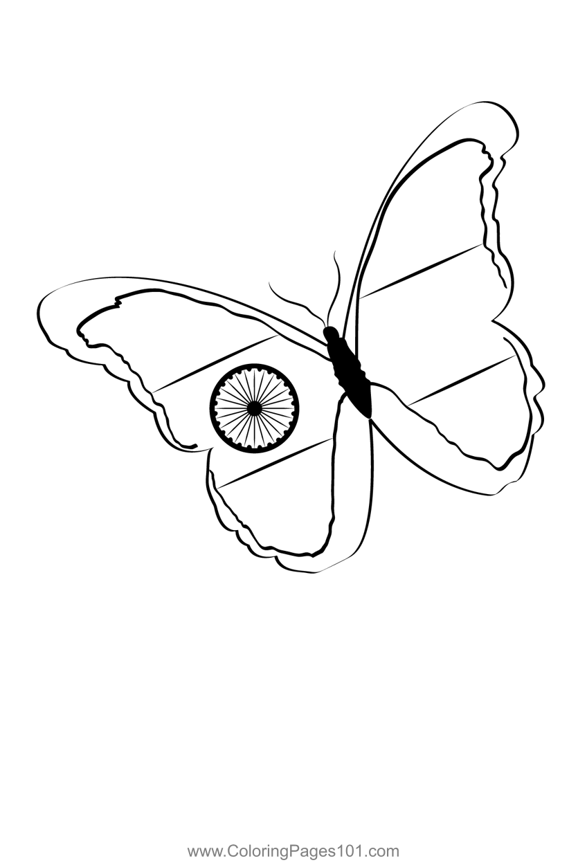 Indian flag butterfly coloring page for kids