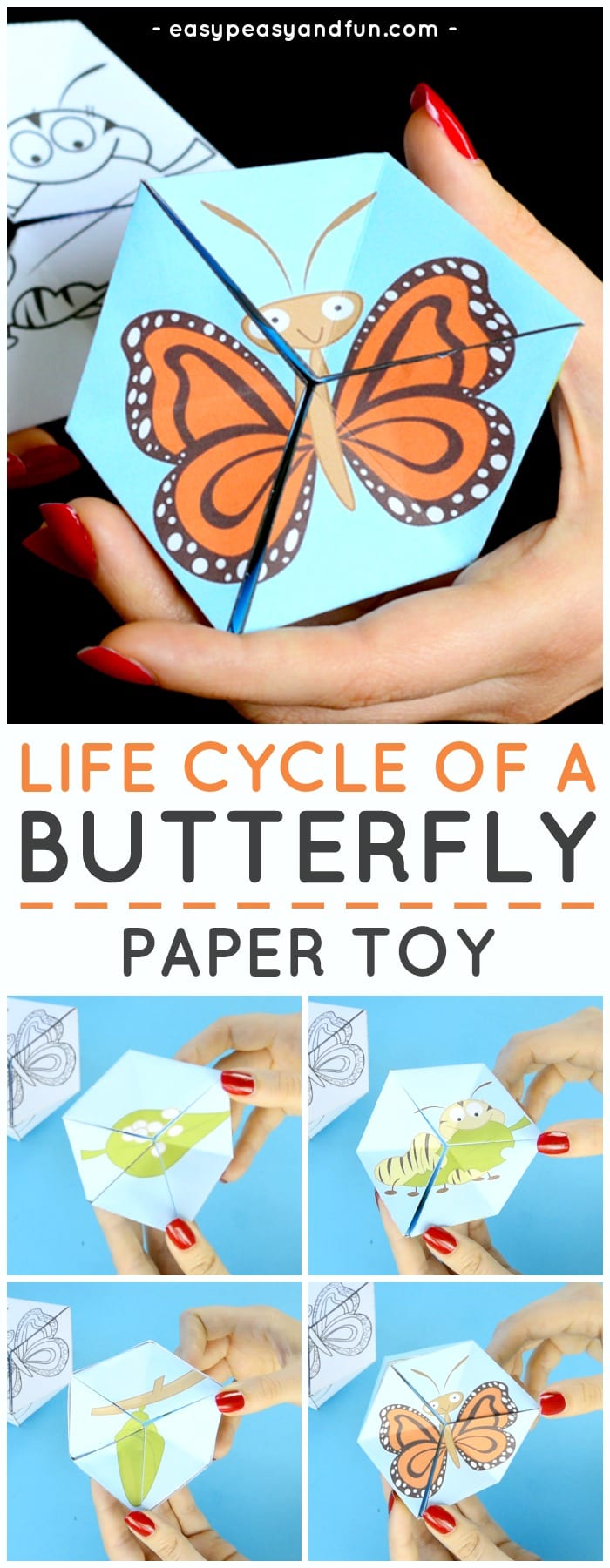 Butterfly life cycle paper toy craft
