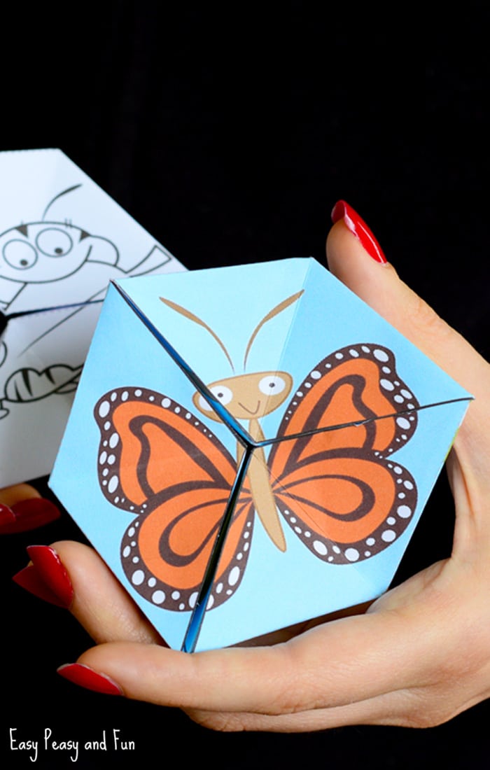 Butterfly life cycle paper toy craft