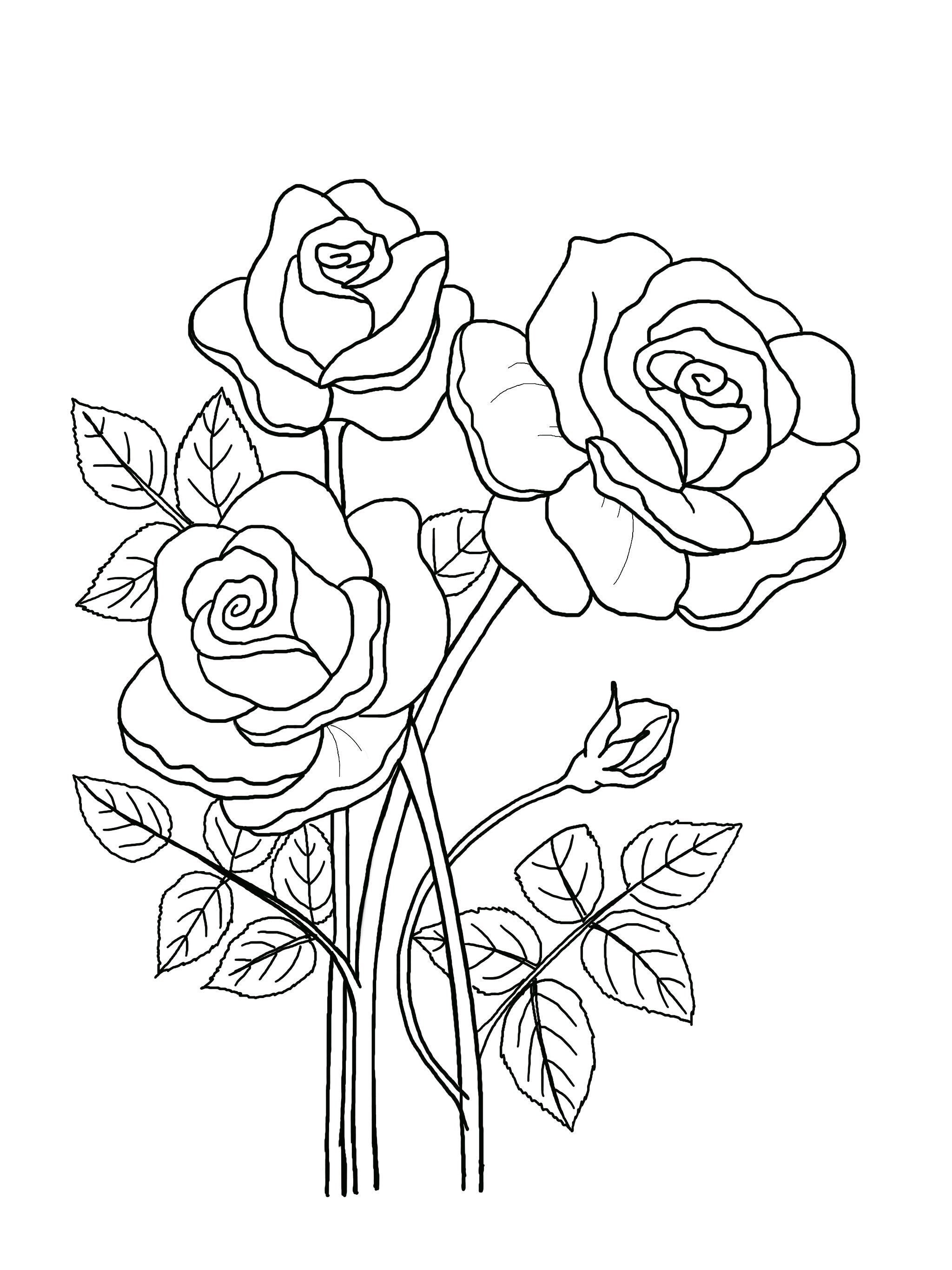 Printable floral coloring sheets coloring pages adult coloring pages kids coloring pages coloring flowers