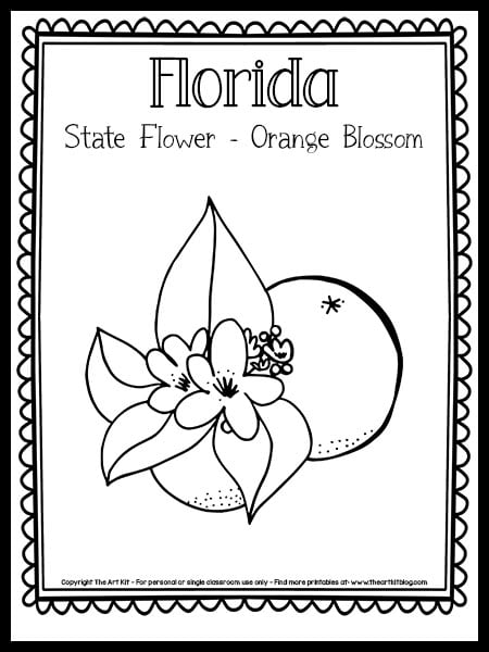 Florida state flower coloring page the orange blossom free printable â the art kit