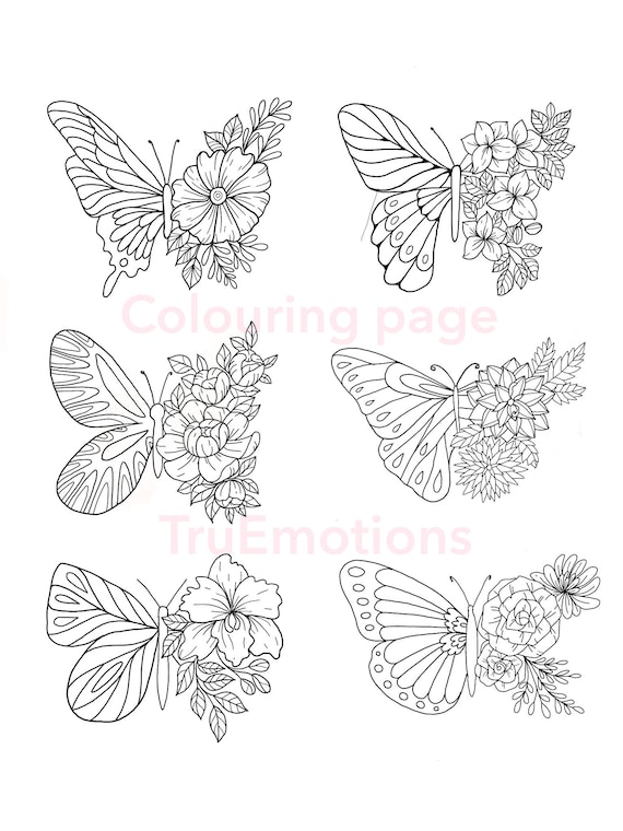 Colouring pages set of pages printable flowers butterfly drawing adult coloring at home activity download now