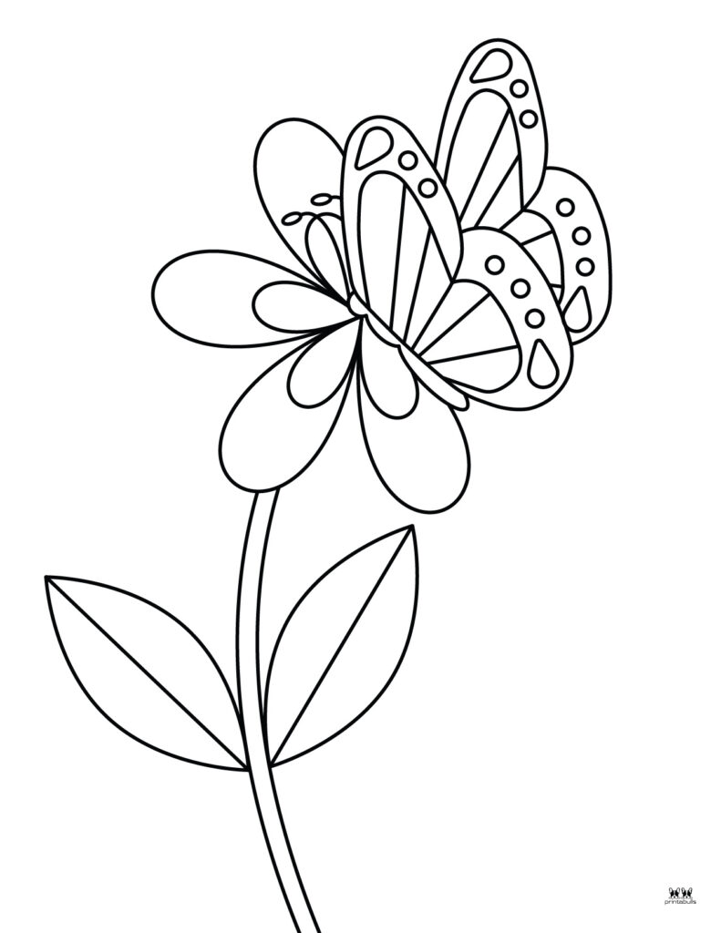 Butterfly coloring pages