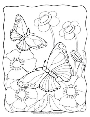 Butterfly coloring pages