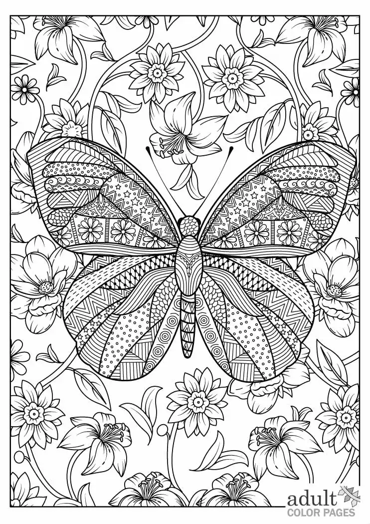 Free printable butterfly and flower coloring page