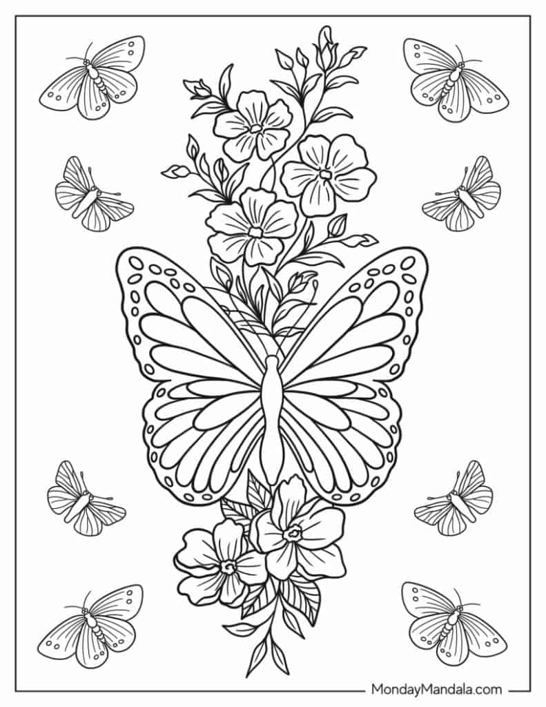 Butterfly coloring pages free pdf printables